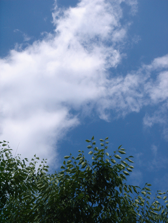 e0001558_14063678.gif