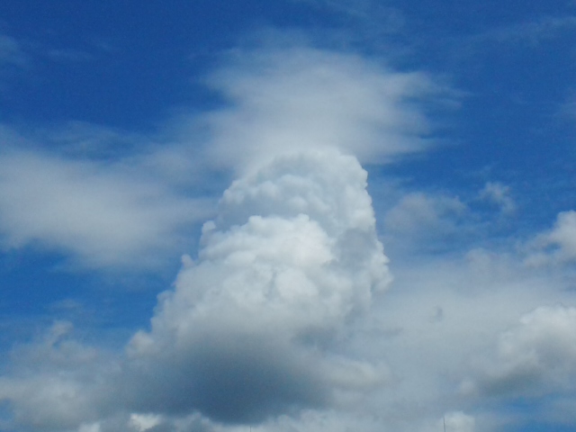 f0061067_13285535.jpg