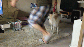 e0360877_08252436.gif