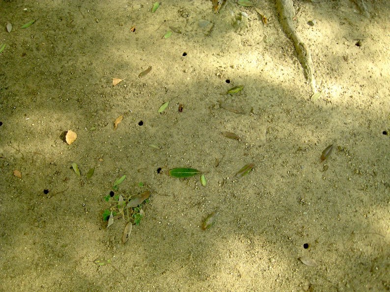 b0057679_08503165.jpg