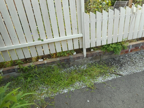 f0366679_17105892.jpg