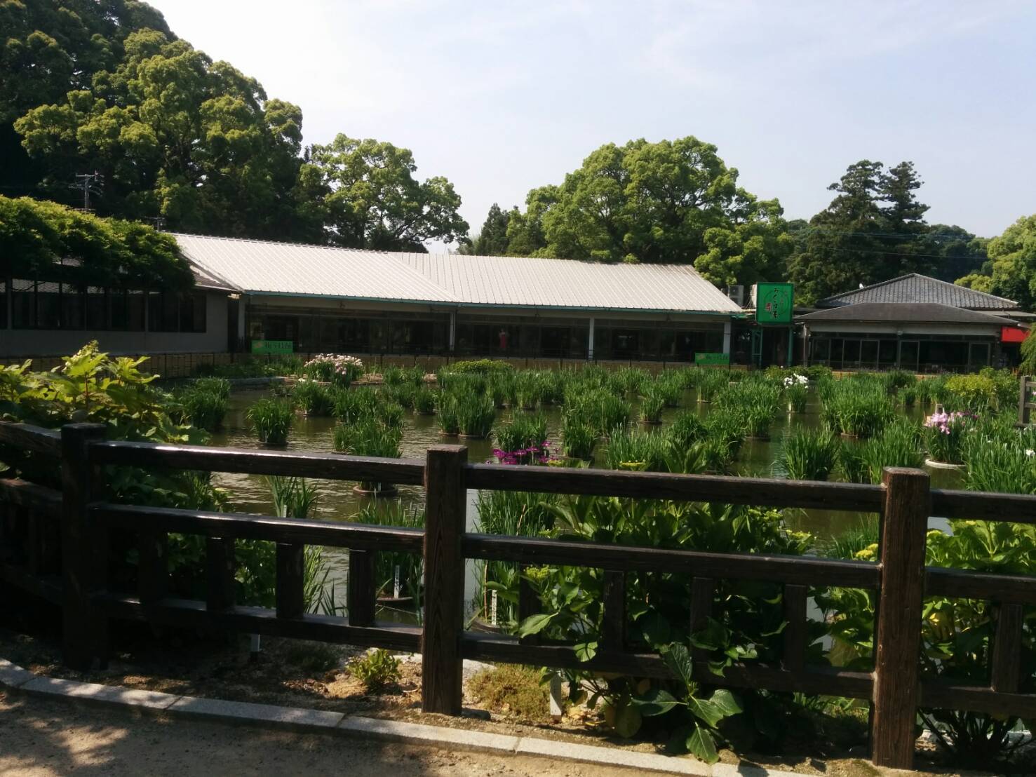 a0194886_23163129.jpg
