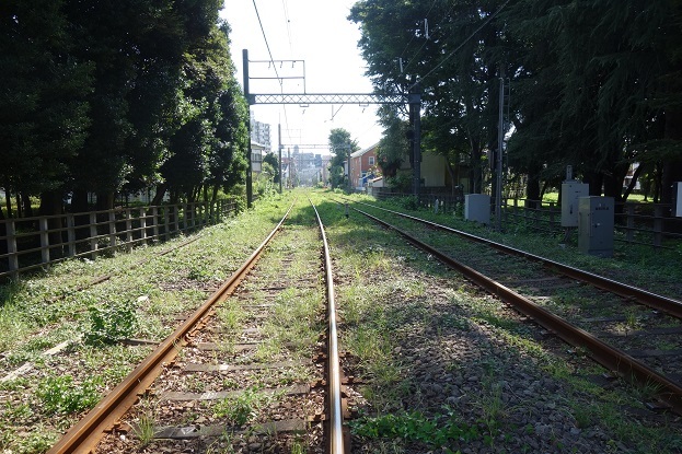 d0183387_22522241.jpg
