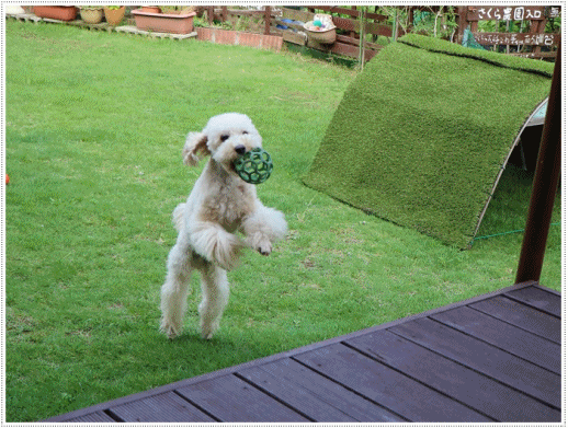 b0175688_00164345.gif
