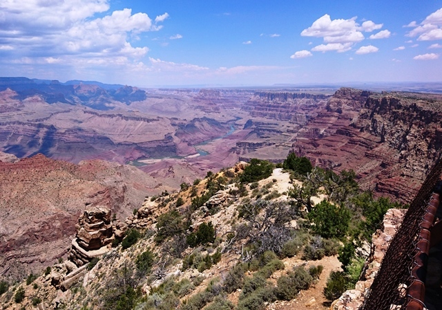 d0102495_13290091.jpg