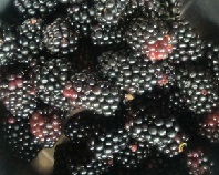 f0064397_10533238.jpg