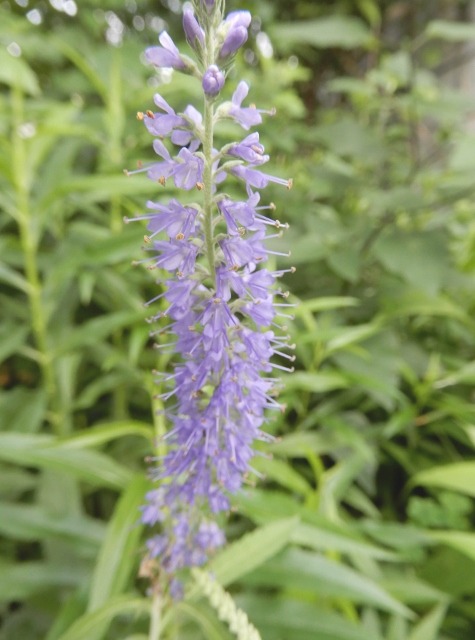 e0025300_18351060.jpg