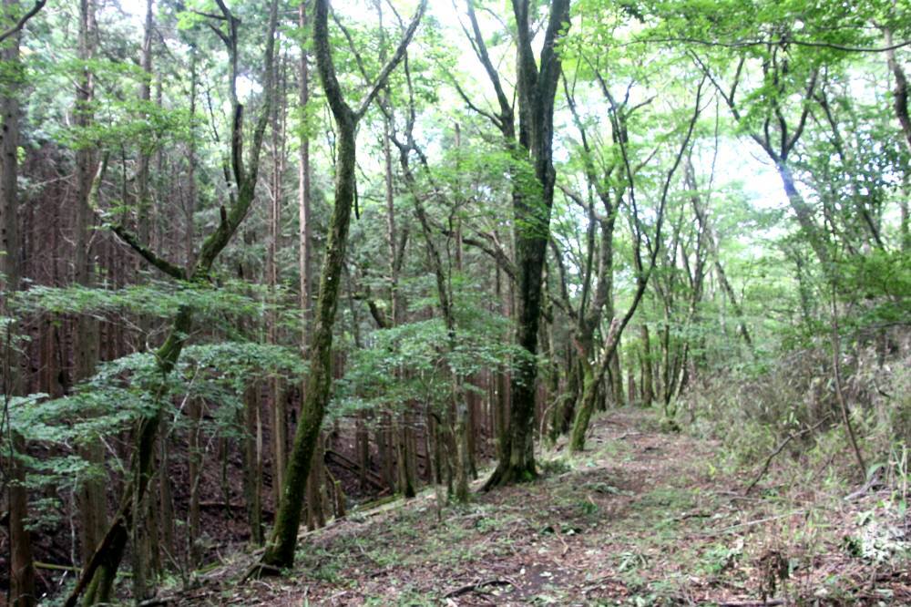 f0212511_18351003.jpg