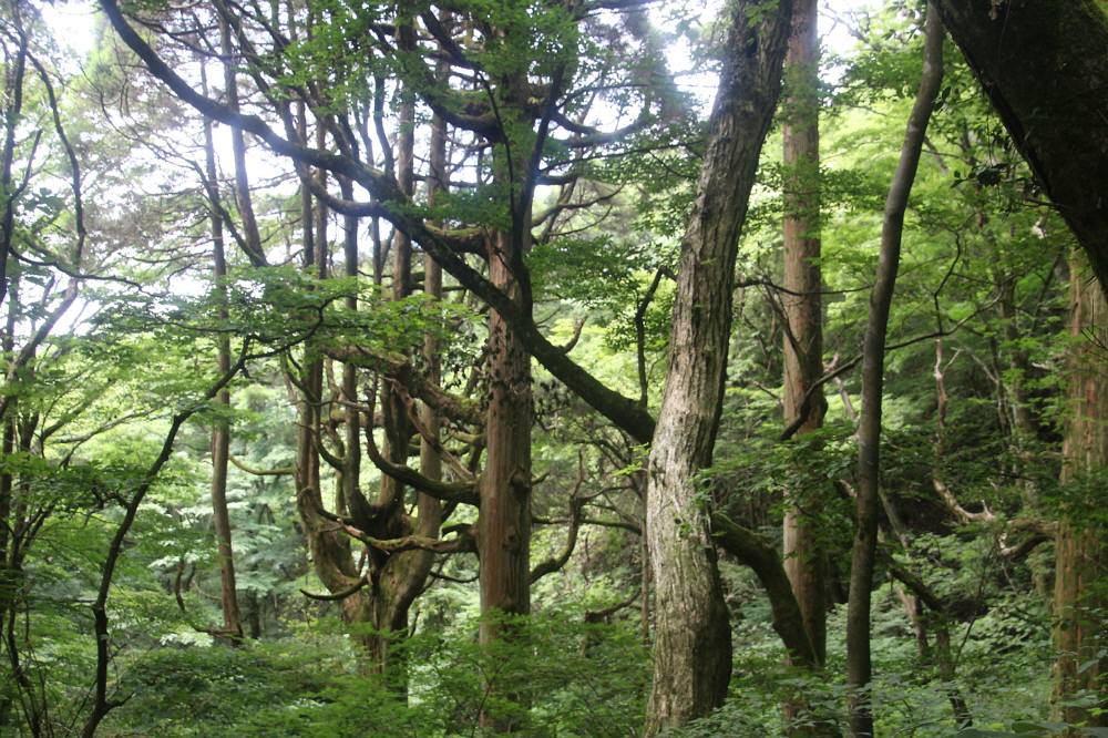 f0212511_18364660.jpg