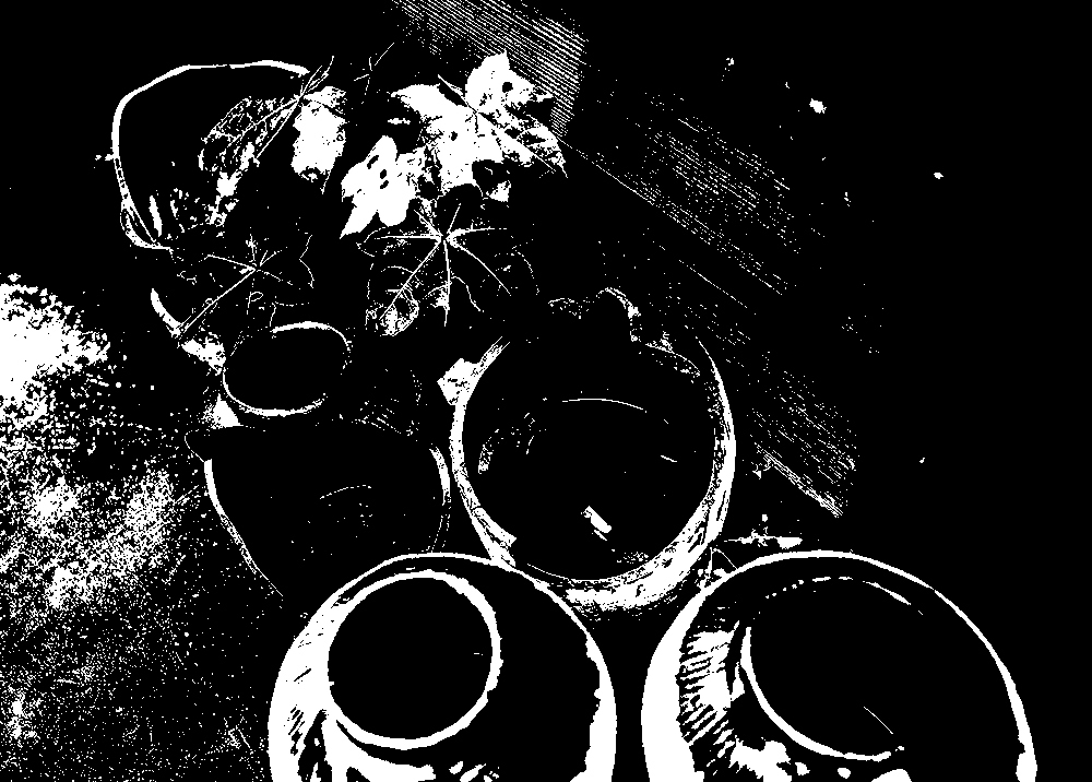 c0082715_14110454.jpg