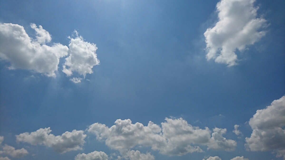 d0060425_10084010.jpg