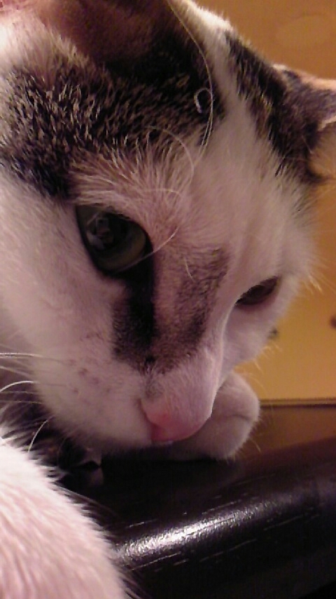 a0052930_21545692.jpg