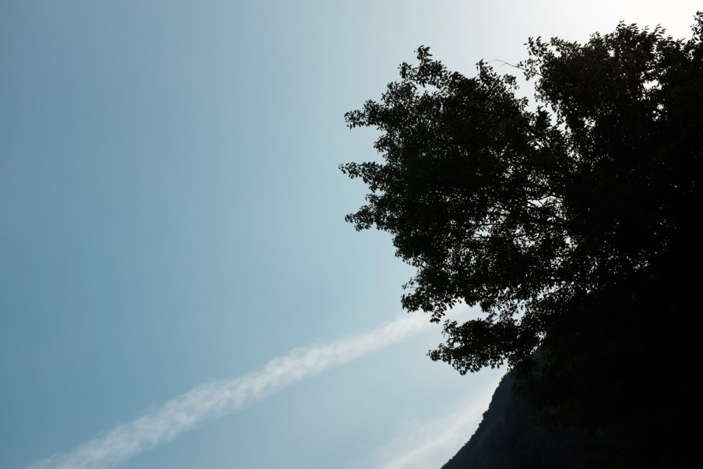 c0342534_07522525.jpg