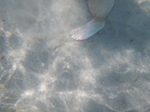 d0142944_22475978.jpg