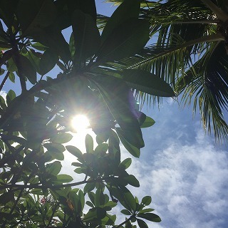 f0226744_19122584.jpg