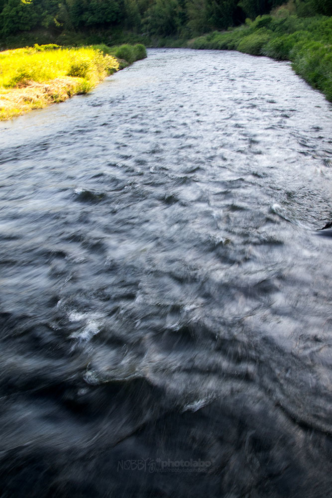 a0134950_22505748.jpg