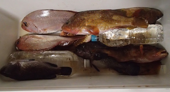 e0108765_20203506.jpg