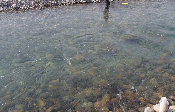 e0108765_23184006.jpg