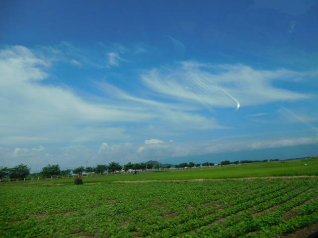 b0250377_14481911.jpg