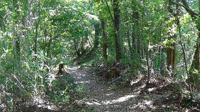 b0326483_14210575.jpg