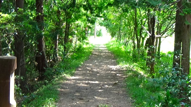 b0326483_14220983.jpg
