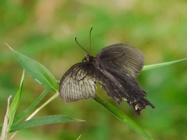 d0088184_21002954.jpg