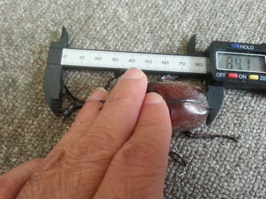 f0183484_07355791.jpg