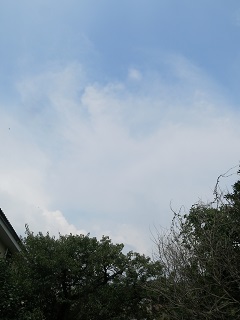 e0130185_11264797.jpg