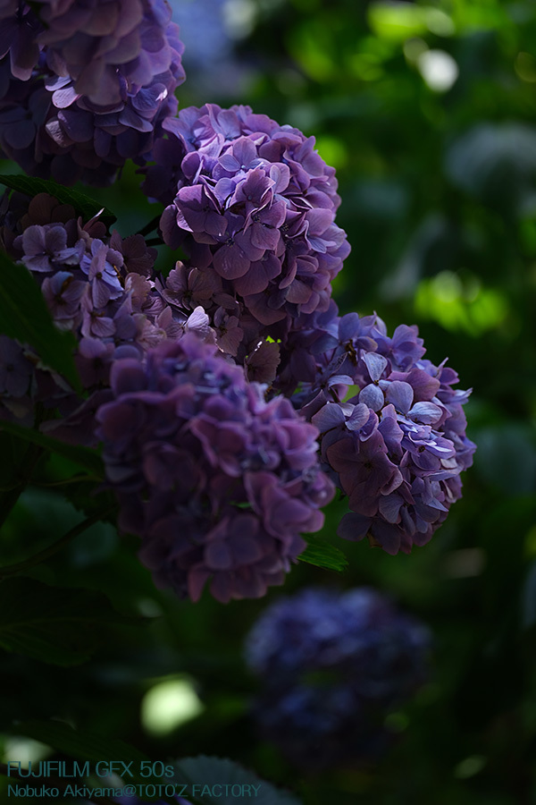 a0034287_20072570.jpg