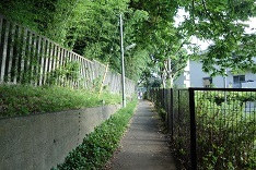 d0183387_21432185.jpg