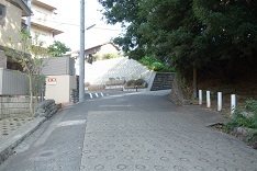 d0183387_21484382.jpg