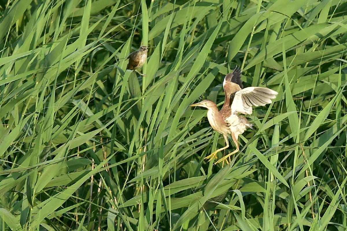 c0144588_09545855.jpg