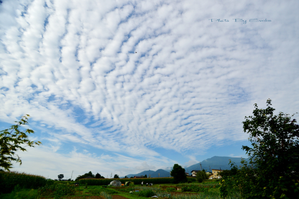 c0246290_23405687.jpg
