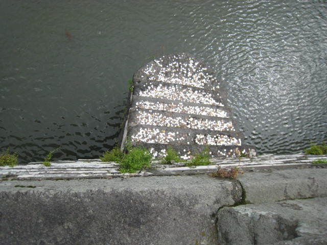 e0021092_12053193.jpg
