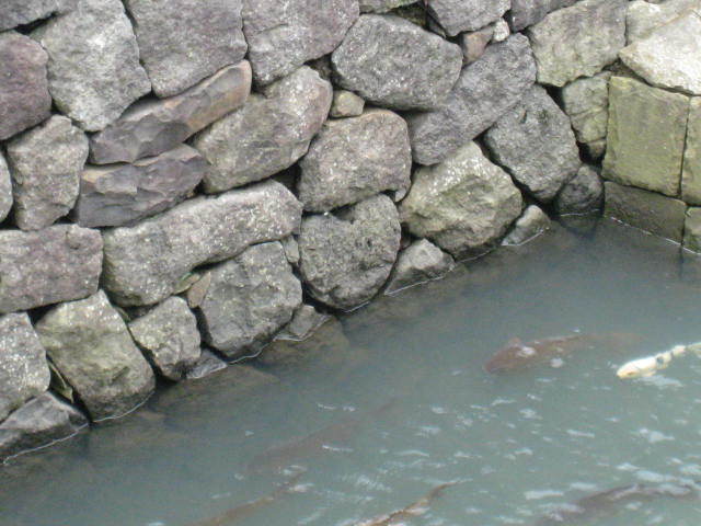 e0021092_12121279.jpg