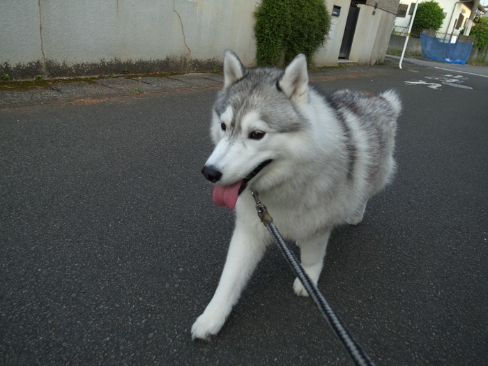 c0049299_22243771.jpg