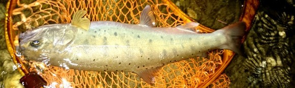 f0266202_16103585.jpg
