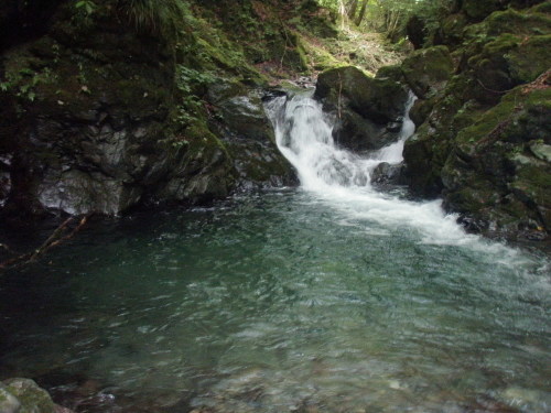 d0342206_17491809.jpg