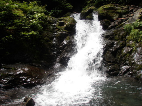 d0342206_17494970.jpg