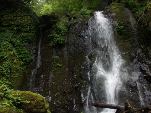 d0342206_17515160.jpg