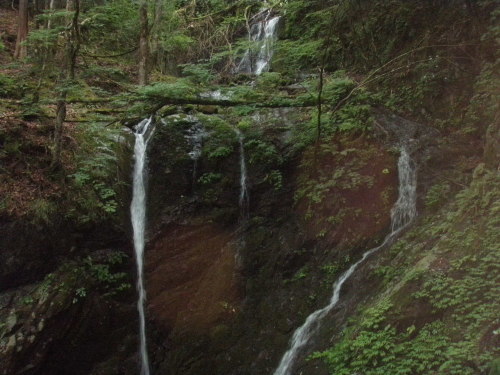 d0342206_17521327.jpg