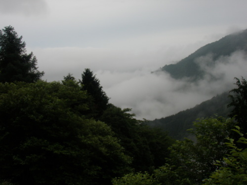 d0342206_17525274.jpg