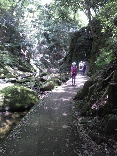 c0149408_21553654.jpg