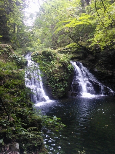 c0149408_21560378.jpg