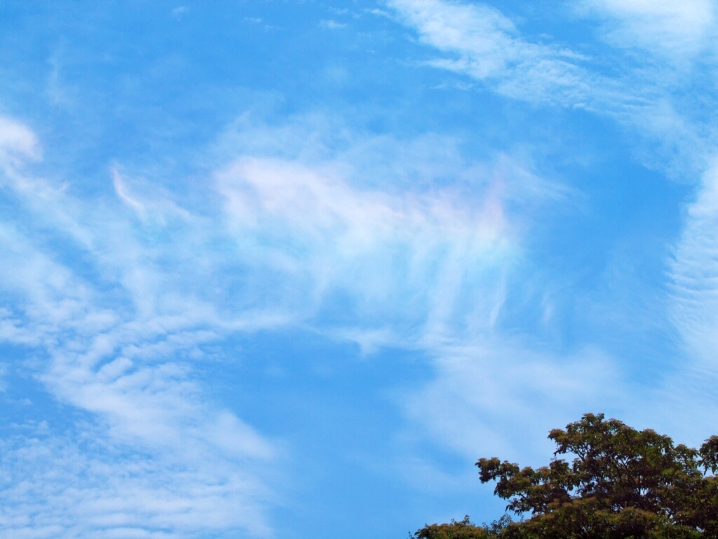 e0364711_20373704.jpg