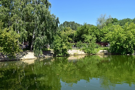 a0151913_6202861.jpg