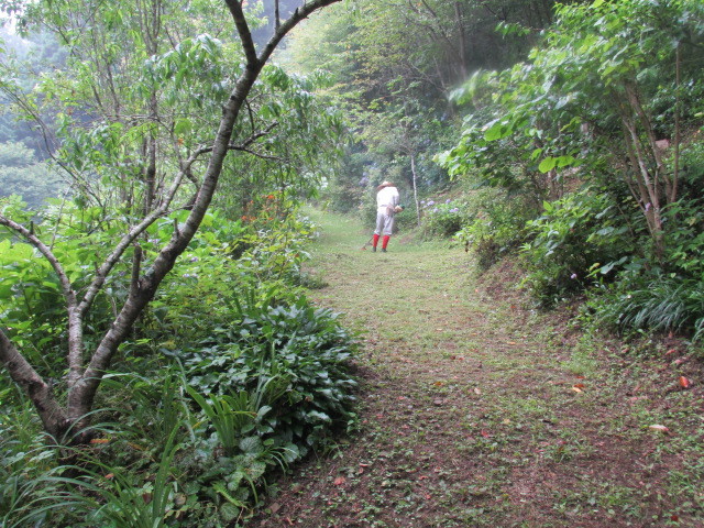 f0341616_16003047.jpg