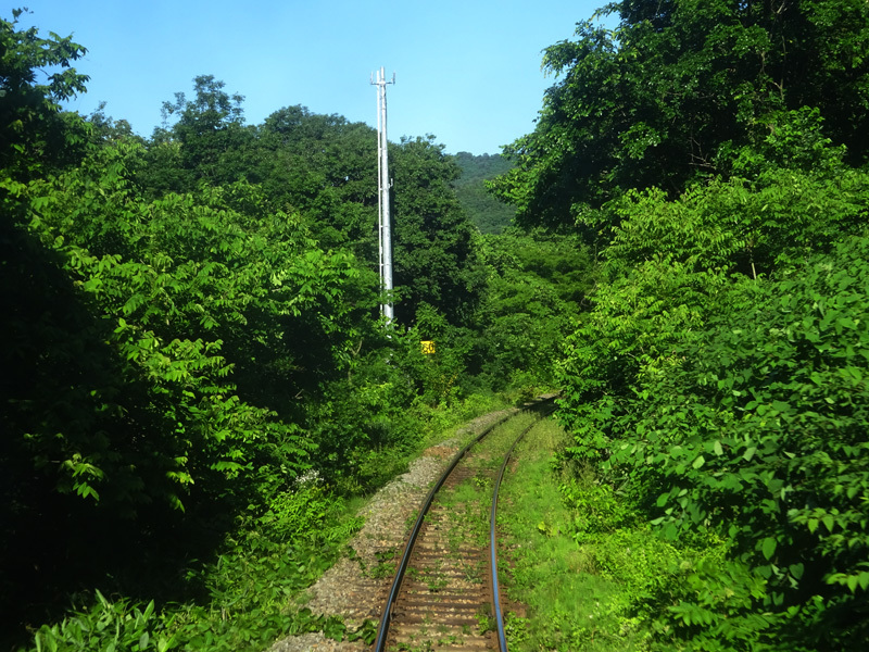 e0192725_15412919.jpg