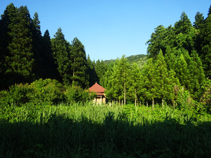 e0192725_16270760.jpg