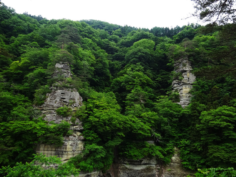 e0192725_16492802.jpg